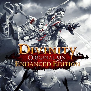 Divinity original sin 1 enhanced édition